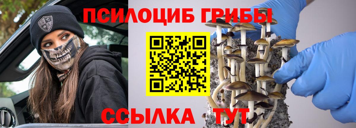 A PVP Солнечногорск