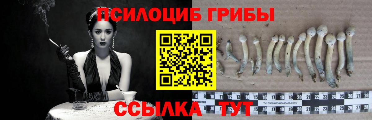 купить наркотик  Галлюциногенные грибы Psilocybe  Галлюциногенные грибы ЛСД  Вход с VPN  Солнечногорск 